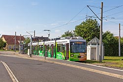 GT-N 264 an der Endhaltestelle Rottenbauer. 14.08.2024 – André Werske