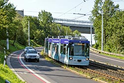 GT-N 267 auf der Steilstrecke zwischen Heuchelhof und Heidingsfeld. 14.08.2024 – André Werske